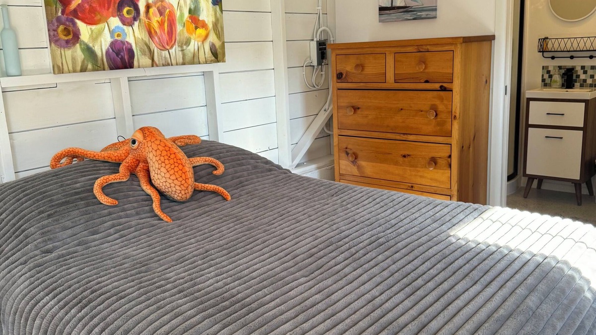 Anacortes Apartment | Similk Beach View Studio for two! nCentral HUB to San Juans and Skagit Valley!