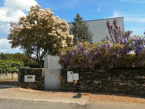 Vila Real House | Single House