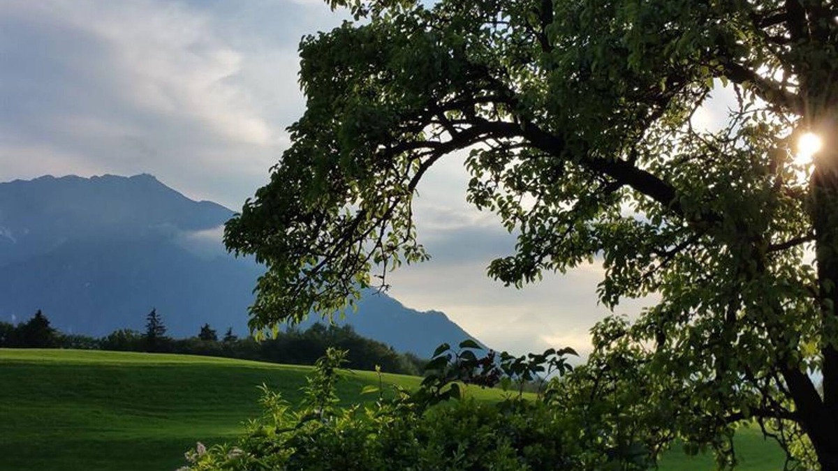 Oberalm Cottage | Single room with shower, WC - Angerer, Inn