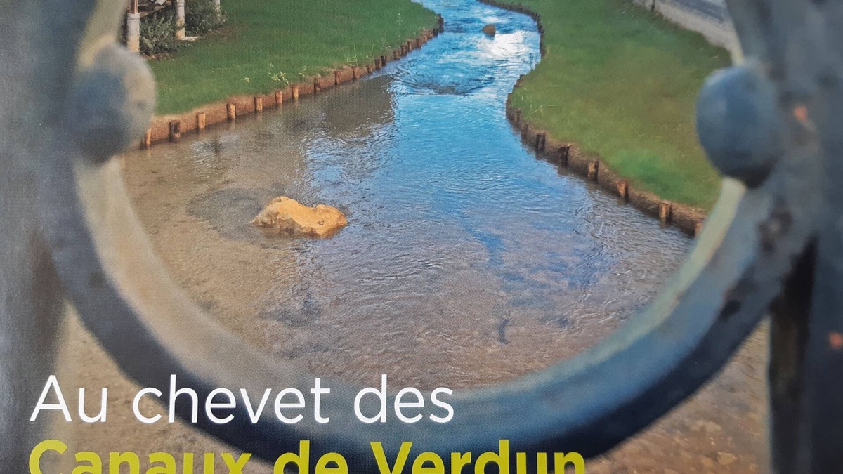 Verdun Apartment | single-storey heart of Verdun