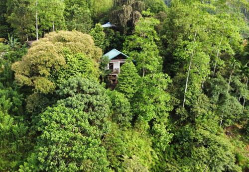 Deniyaya House | Sinharaja Rest