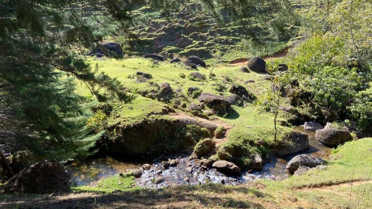 Sao Francisco Xavier House | SITE IN SERRA DA MANTIQUEIRA with Wi-Fi