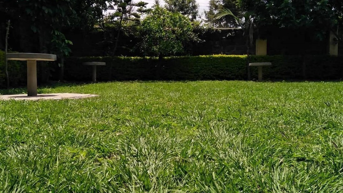 Viwanda House | SizzlingWaters is a home with amenities amenities that you would find in a hotel