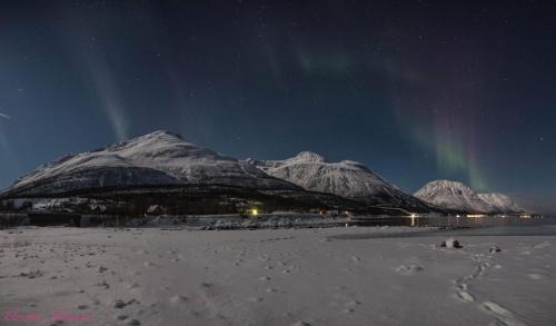 Tromso Apartment | Sjursnes Fjordferie