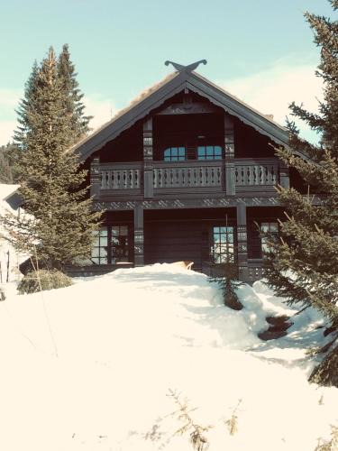 yer Ski Chalet | Ski and Bike-In and Out