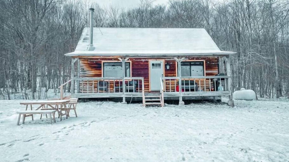 Margaretville House | Ski Cabin-Scenic Views-5.5 Private Acres-Fast Wifi
