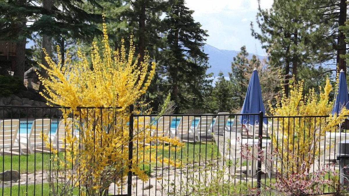 Tahoe Tyrol Ski Chalet | Ski Chalet 2 Bdrm,2 Bath +Loft, Near Heavenly… availability 30 nights plus