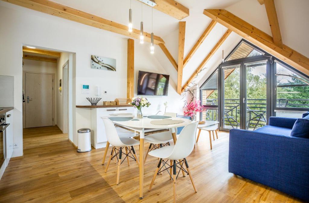 Loucna Pod Klinovcem Apartment | Ski Chalet Klínovec