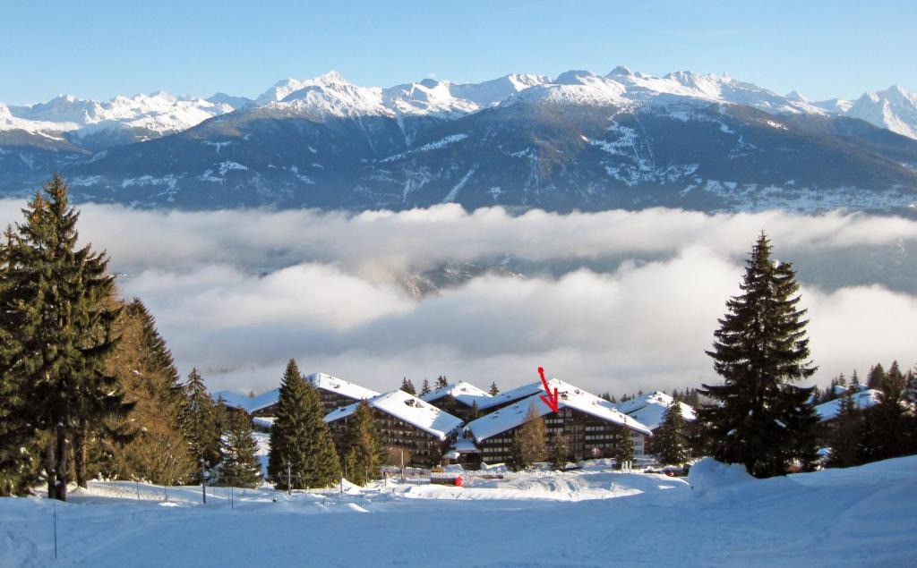 Anzere Apartment | Ski-in Apartment in Anzere
