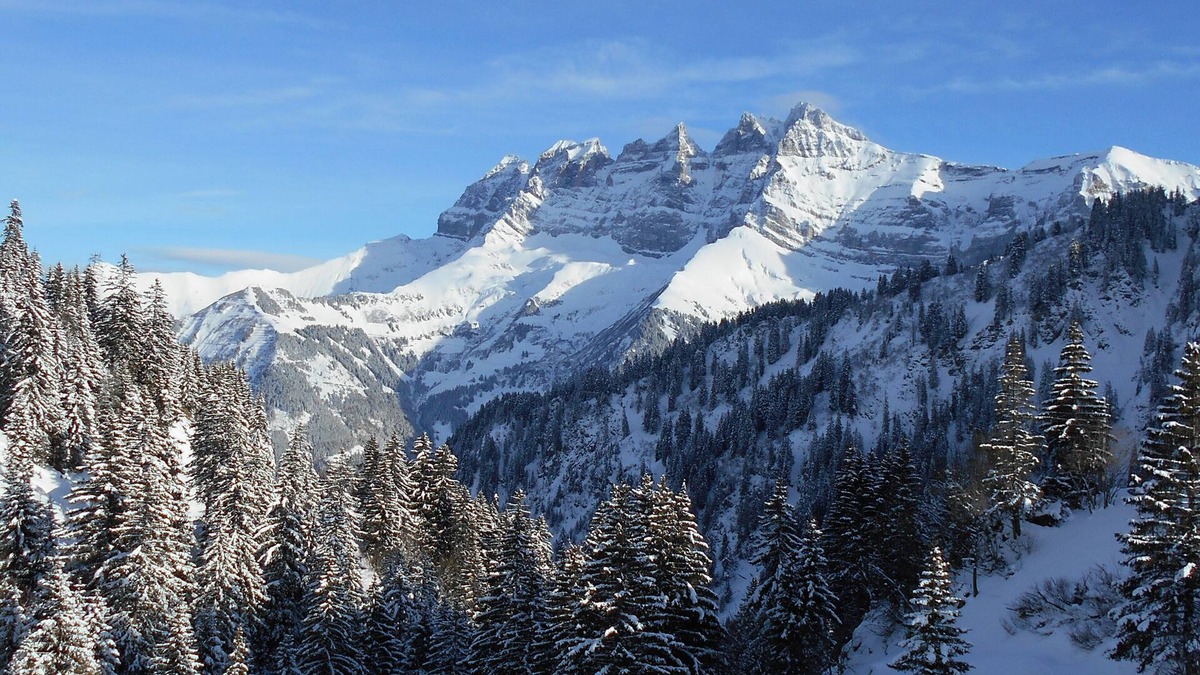 Val d'Illiez Apartment | Ski in & out at Portes du Soleil, sunny Sunjacques facing Dents du Midi