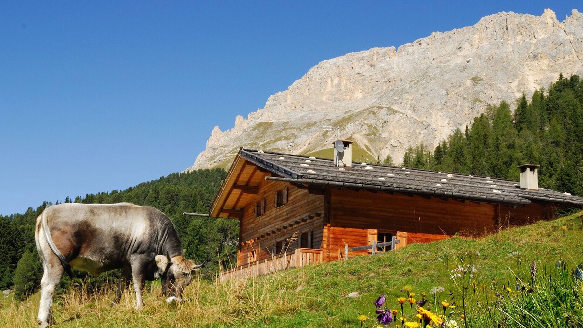 Obereggen House | Ski-In Vacation Home “Thaleralm” on the Alp with Mountain View, Terrace & Garden