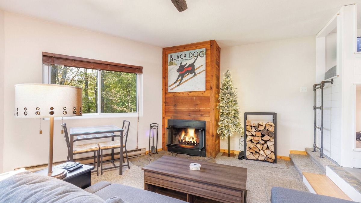 Hidden Valley Ski Chalet | Skier's Paradise: Pet-Friendly, Easy Walk to Main Lift, 4 Beds