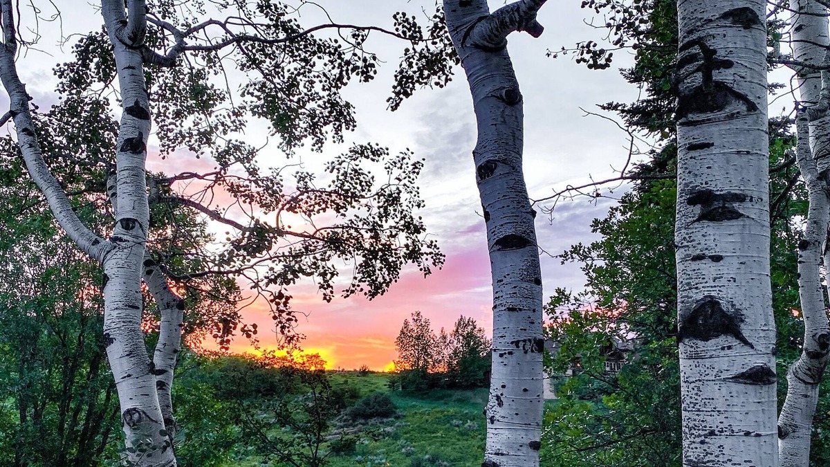 Oak Creek House | Skiing, Fishing, Hiking this log home is the perfect location to create memories