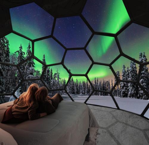 Risogrund Cabin | SKOG - Aurora Igloos Resort