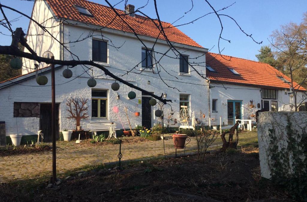 Zonhovenheide Bed & Breakfast | Slaaphuisje Het vliegend varken