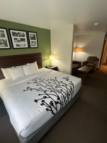 Eau Claire Hotel | Sleep Inn & Suites Conference Center Eau Claire North