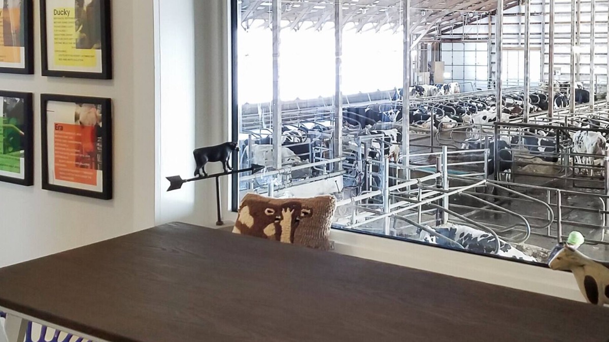 Kesley House | Sleep with the Cows @ New Day Dairy GuestBarn