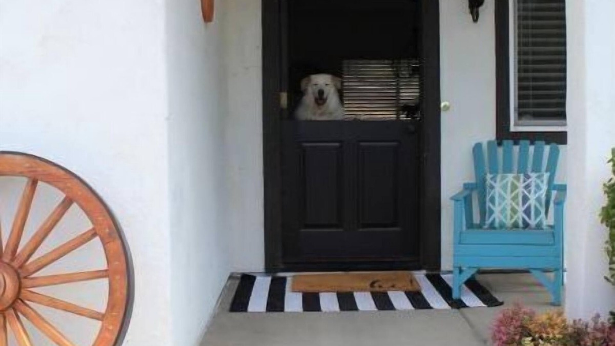 Fallbrook Cottage | Sleeps 4. Private casita in the country.