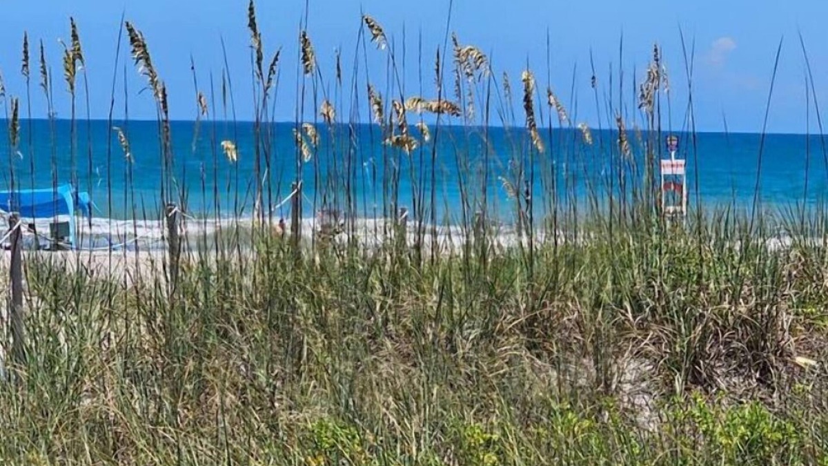 Cape Caneveral Beach Gardens Condo | Slice of Paradise, 1 bedroom, walk to the beach!