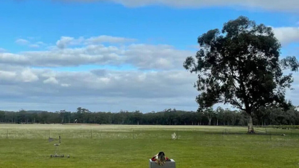 Whroo House | Slice of paradise! Farm stay with friendly goats