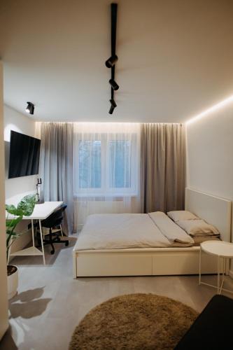 Kosice Old Town Apartment | SlovakUnity Apartment