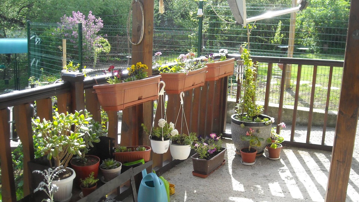 Vitosha District House | Small Beutiful House With Separate Entrance In The Outskirts Of Vitosha Mountain