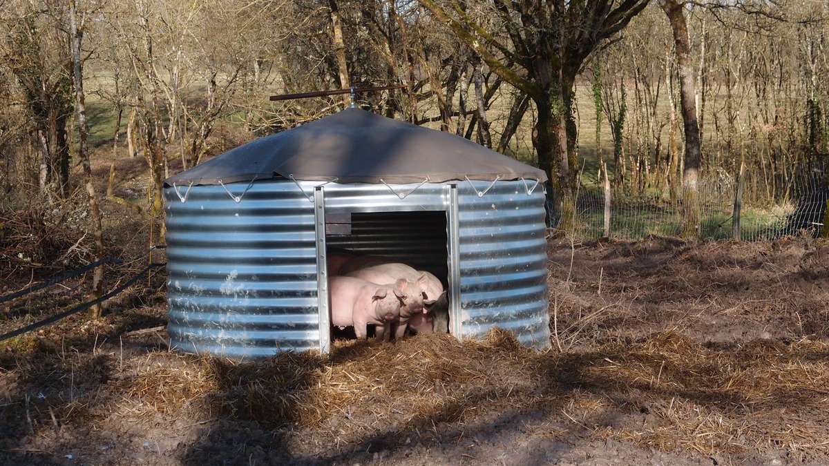 Rosnay Cottage | Small cottage on the farm
