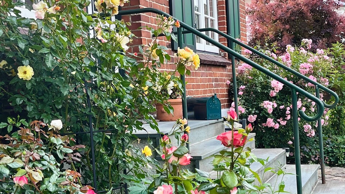 Eutin Apartment | Small country house pearl by the castle park and lake, in dreamlike nature!