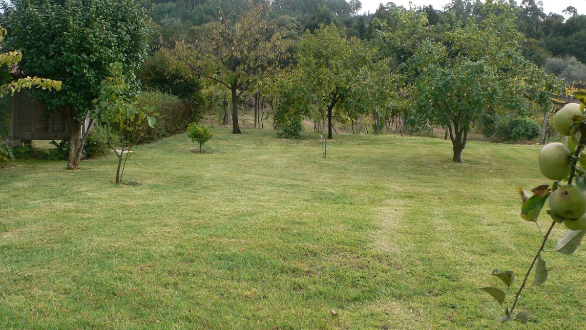 Estoraos Cottage | Small farm by the river