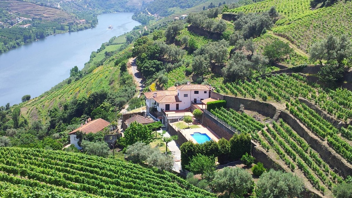 Mesao Frio House | Small farm in Douro with private pool