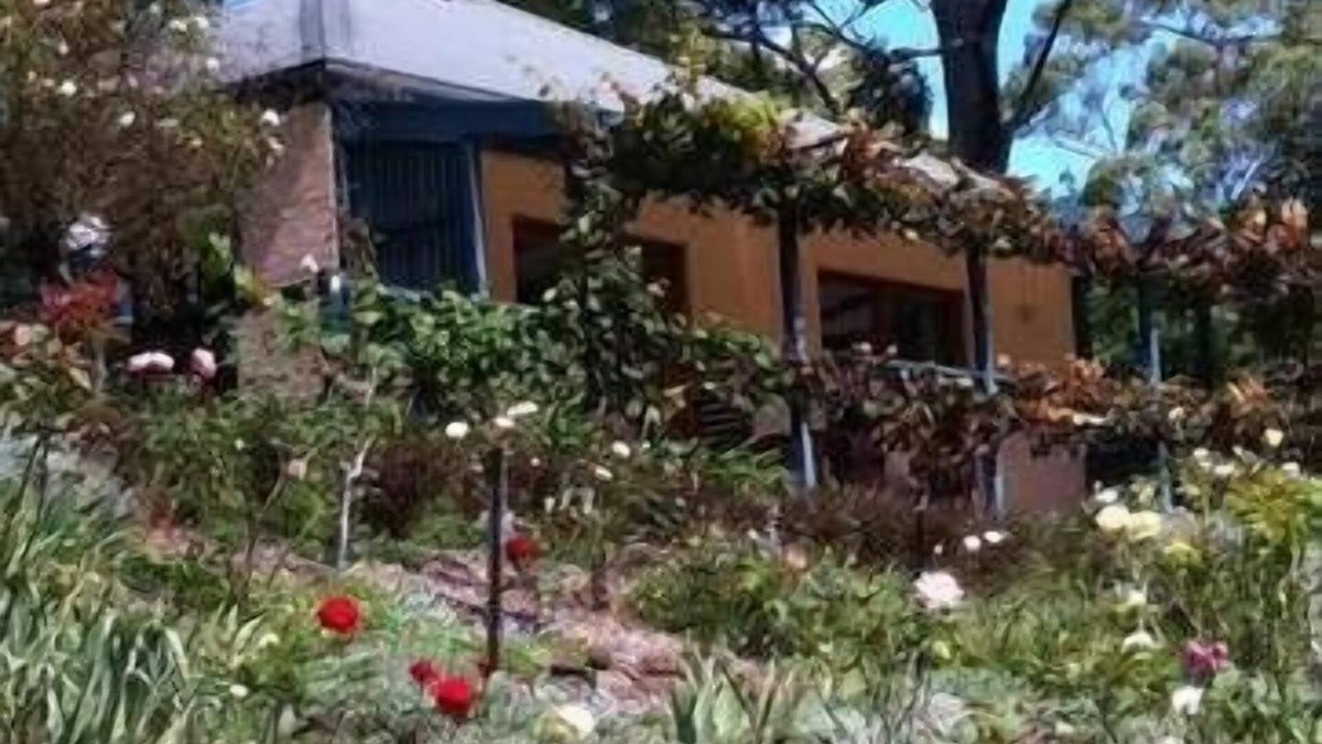 Bellawongarah Bed & Breakfast | Small farm living beautiful mountain views- acres of spectacular country garden