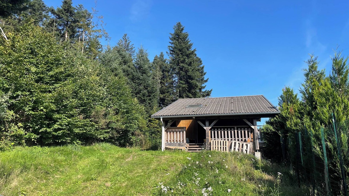 Dommartin-les-Remiremont Ski Chalet | Small chalet and large green area for pets.