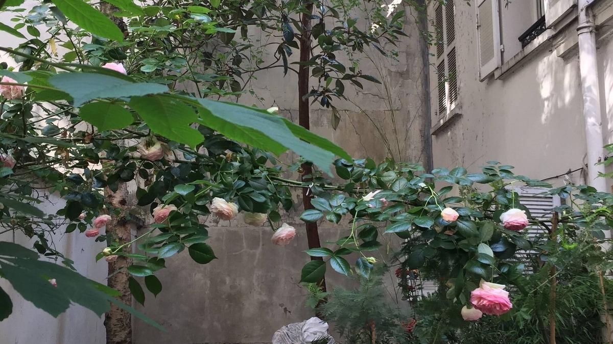 7th Arrondissement House | Small house, completely reniewed, at the back of a silent yard, with trees.