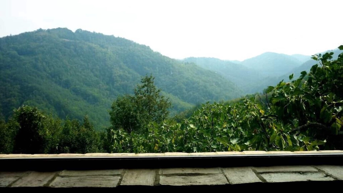 Vetto Bed & Breakfast | Small house surrounded by nature - lafossa.eu