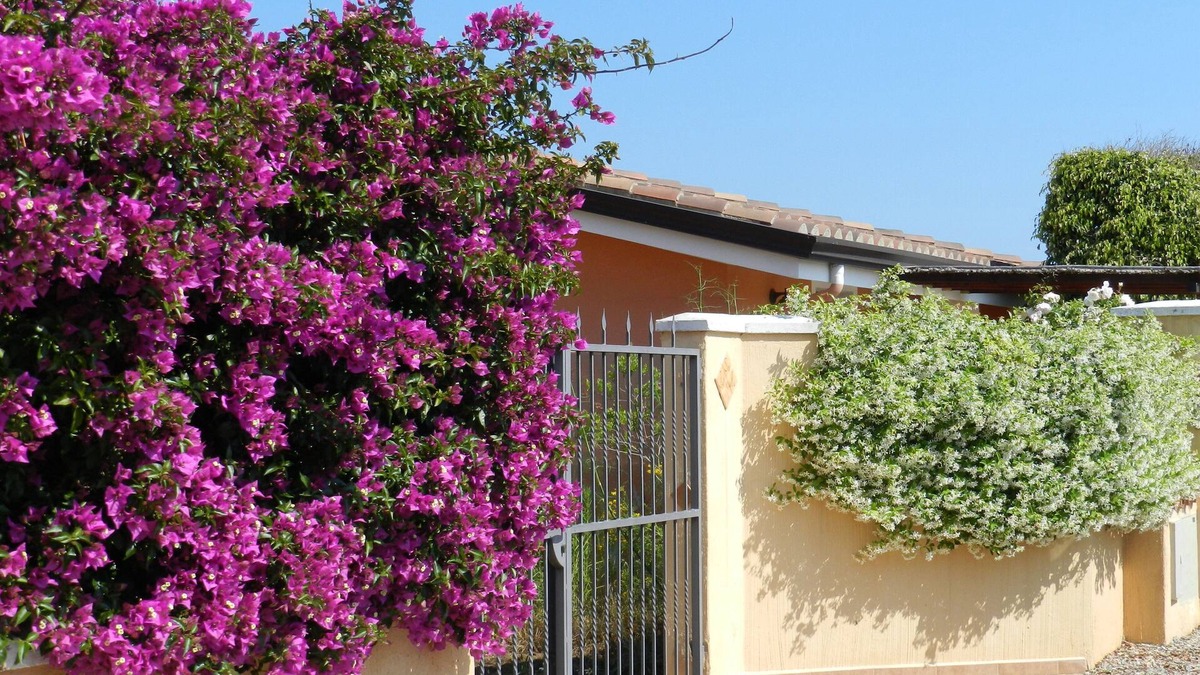 Torre di Bari House | Small house with enclosed garden 400m walk from the beach