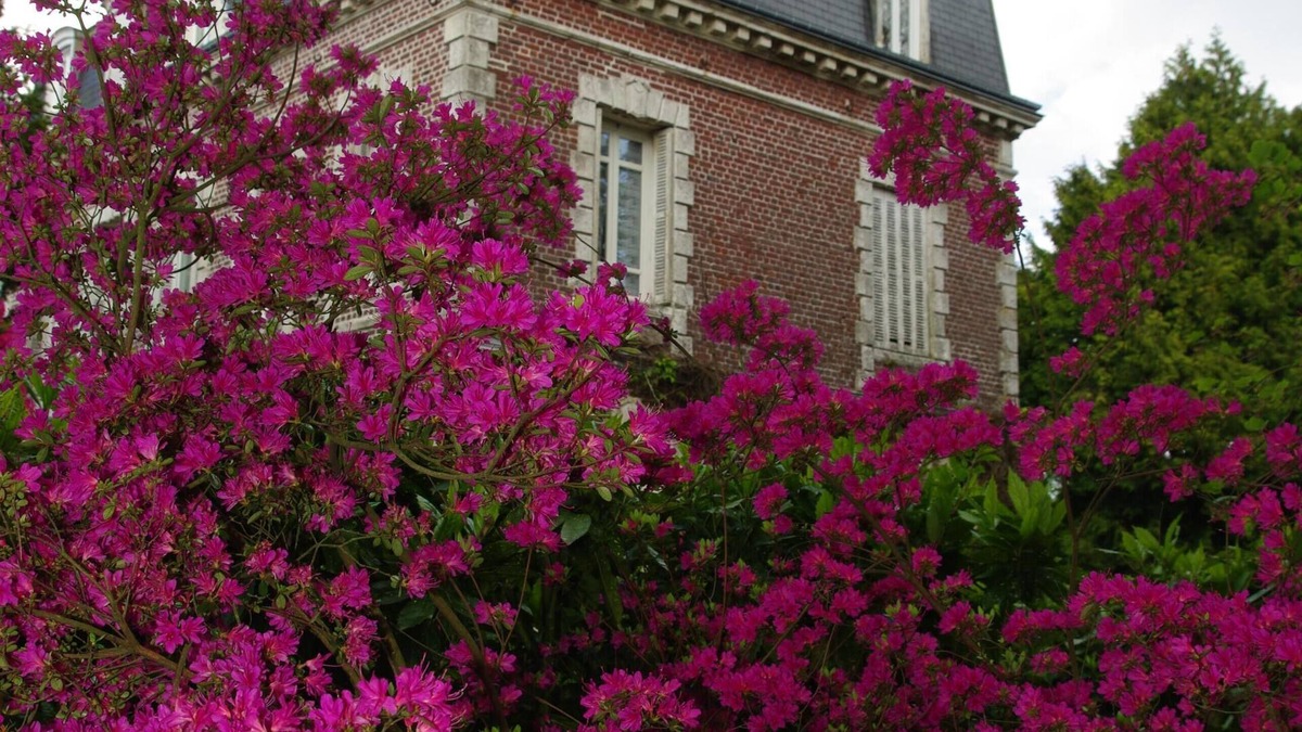 La Cerlangue Apartment | Small independent cottage in Norman property from the 19th