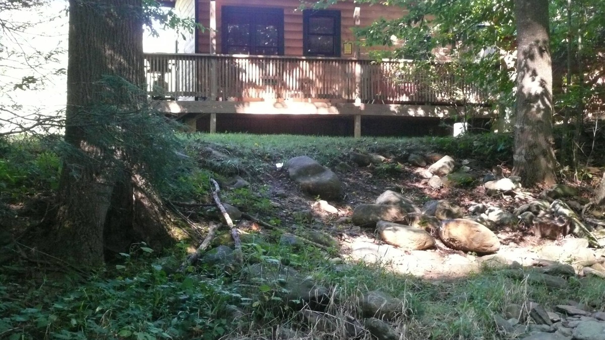 Lansing Cabin | Small, quiet, romantic, reasonably priced cabin, next to a great trout stream