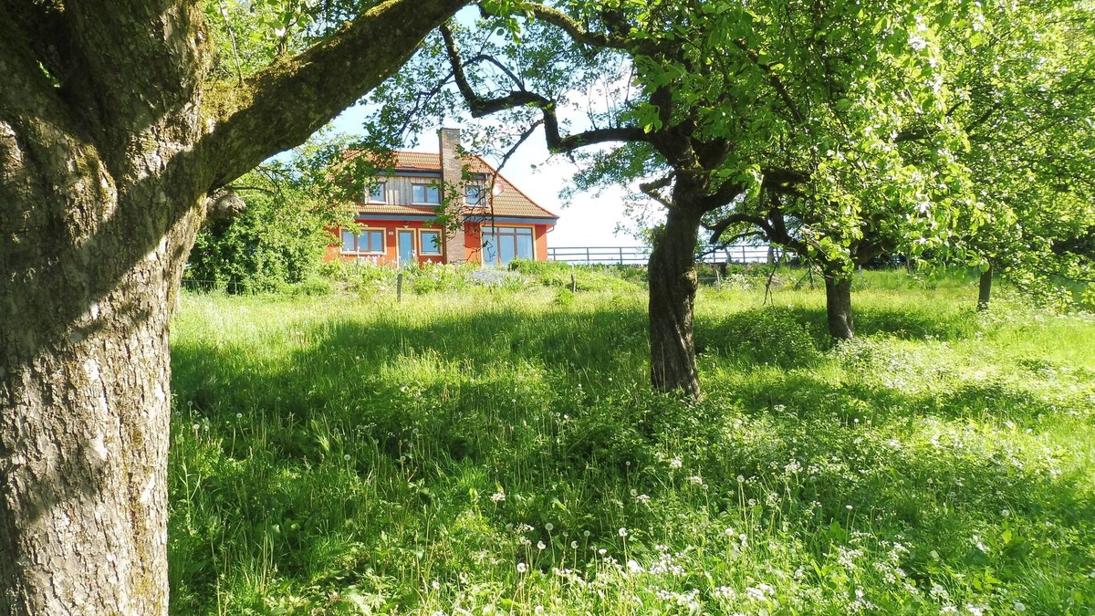 Rodt House | Small villa in the wild garden