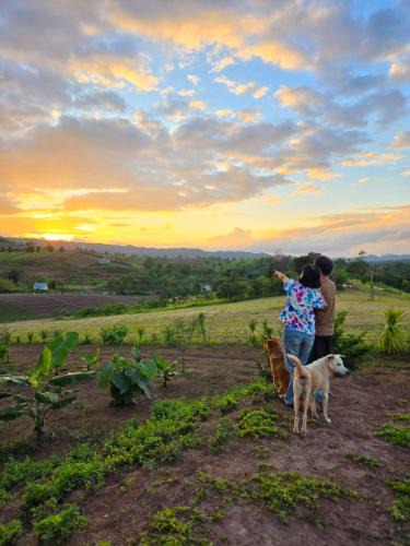 Khao Kho Other | Smile Farm at Khaokho