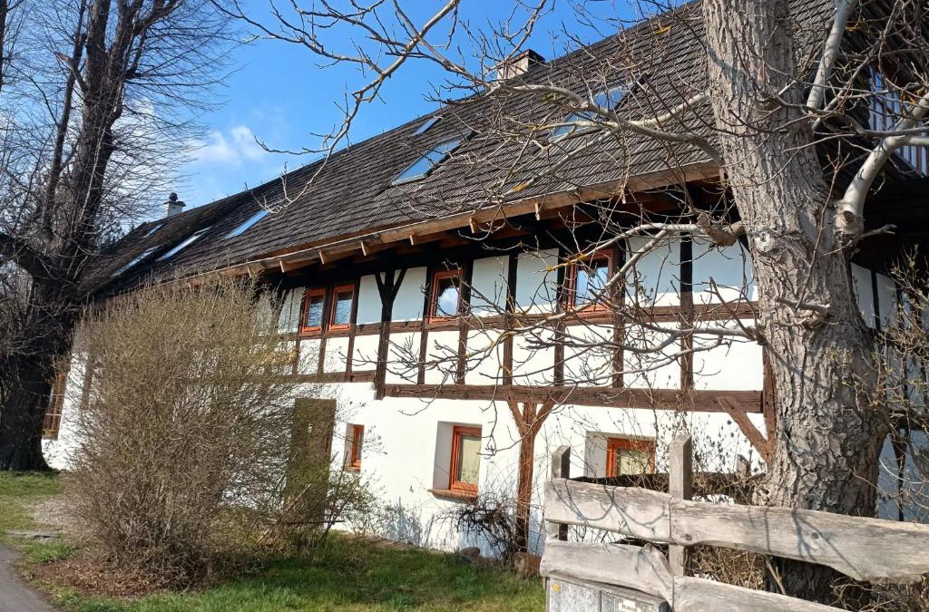 Mirsk House | Smocza Chata