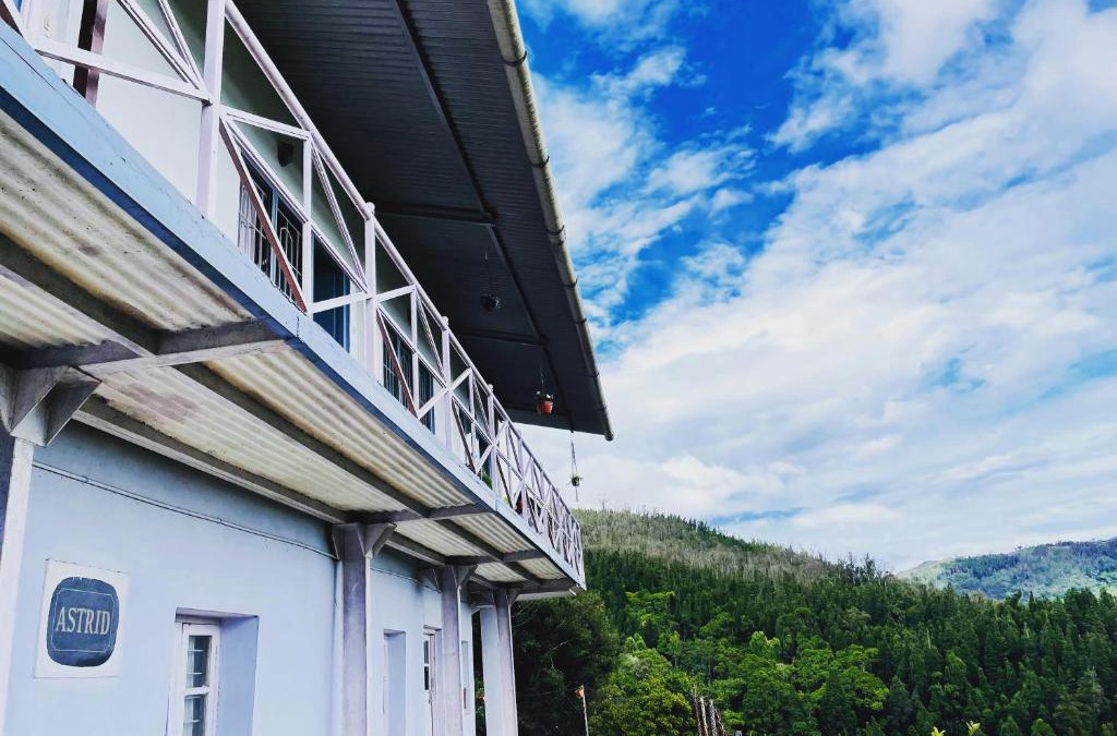 Wellington House | Smoking Hill