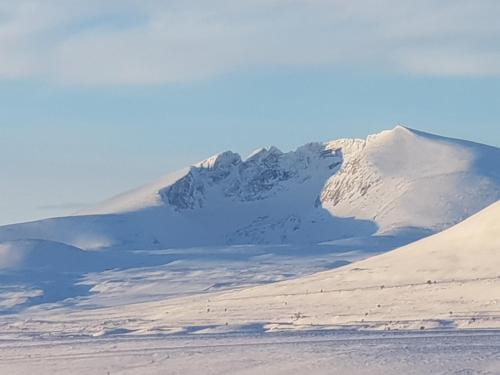 Hjerkinn Other | Snøhetta Camping