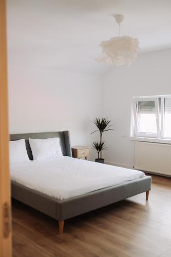 Ciolpani Villa | Snagov Forest Villa