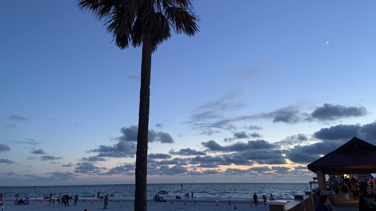 Tarpon Springs House | Snow Birds Welcome! Cozy Home close to Beaches and Sponge Docks.