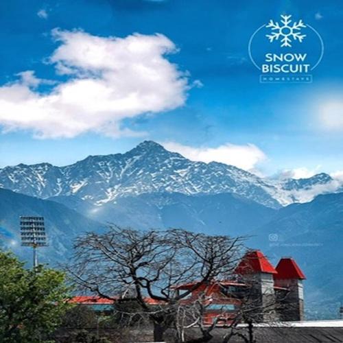 Sidhpur Apartment | Snow Biscuit Villa