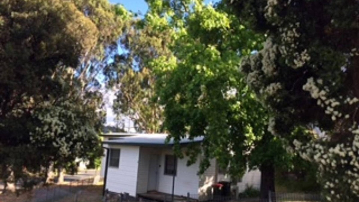 Talbingo Cottage | Snow Gum Cottage - Talbingo experience