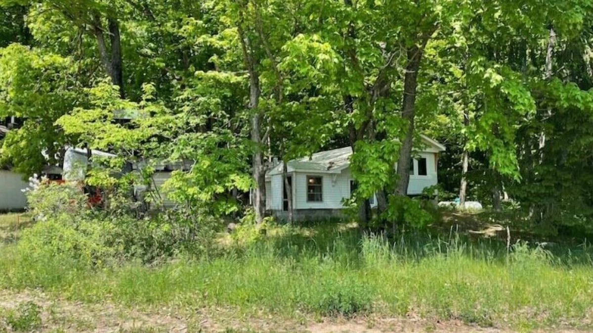 Gaylord Cabin | Snow is here over 3 feet -Snowmobile from your door - Scenic cottage on the lake