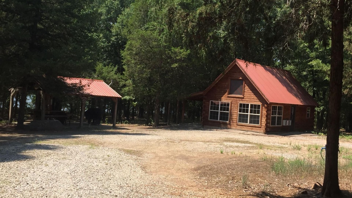Scranton Cabin | SNOW'S LOG CABIN ON LAKE DARDANELLE ON DUBLIN BAY 🐟🦌
