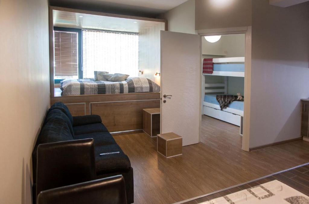 Bakurianis Andeziti Apartment | Snowcave