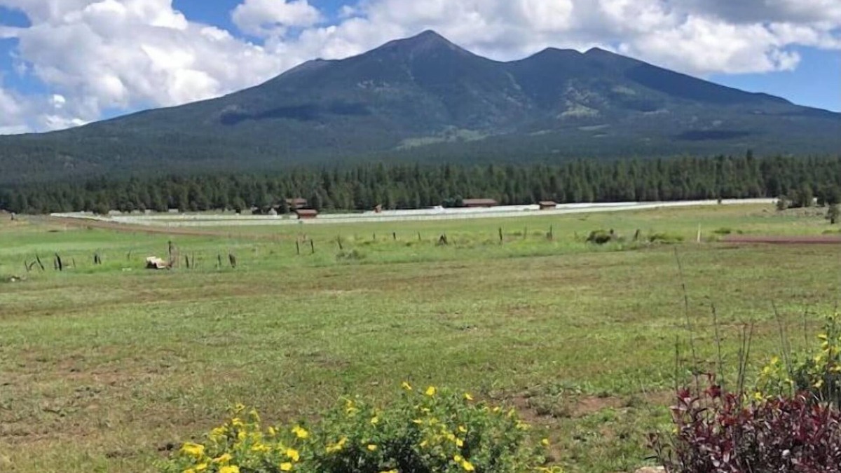 Fort Valley House | Snowmaking is underway, Live, love, SKI!